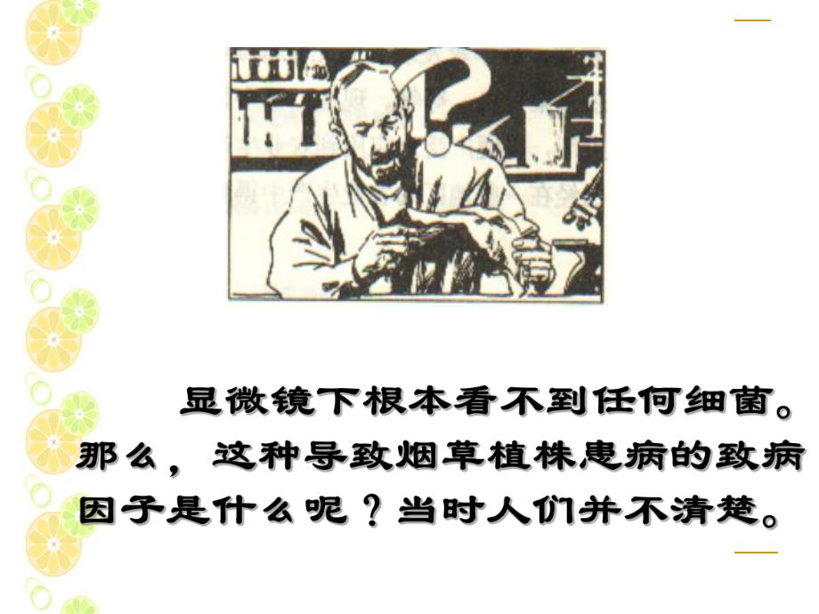 病毒发现史.ppt_第2页