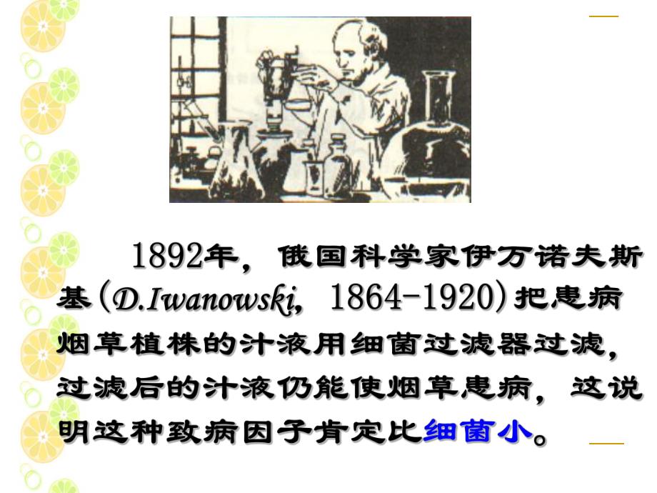 病毒发现史.ppt_第3页