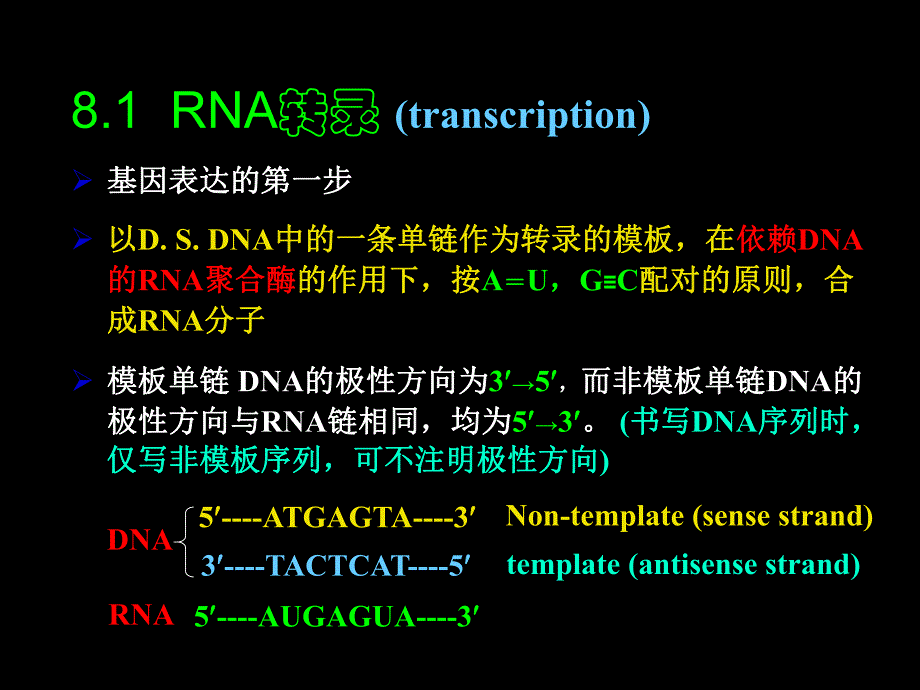 第08章基因表达与调控.ppt_第3页