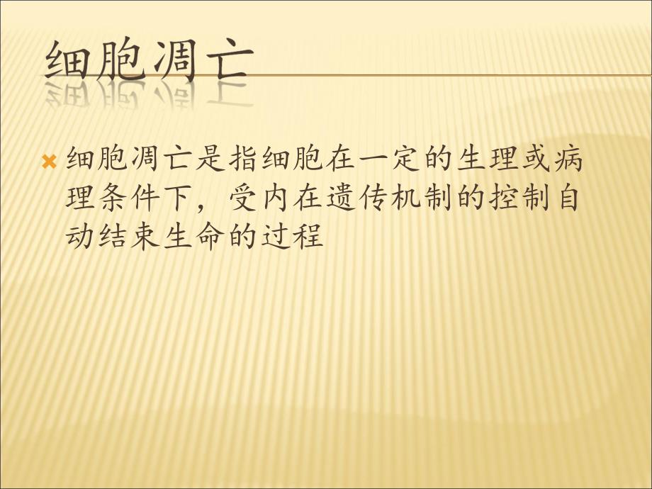 病理生理教研室名师编辑PPT课件.ppt_第2页