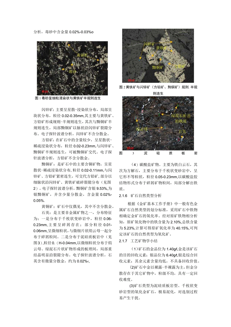 氧化泥硅质板岩金矿矿物学及选矿试验论证.docx_第3页