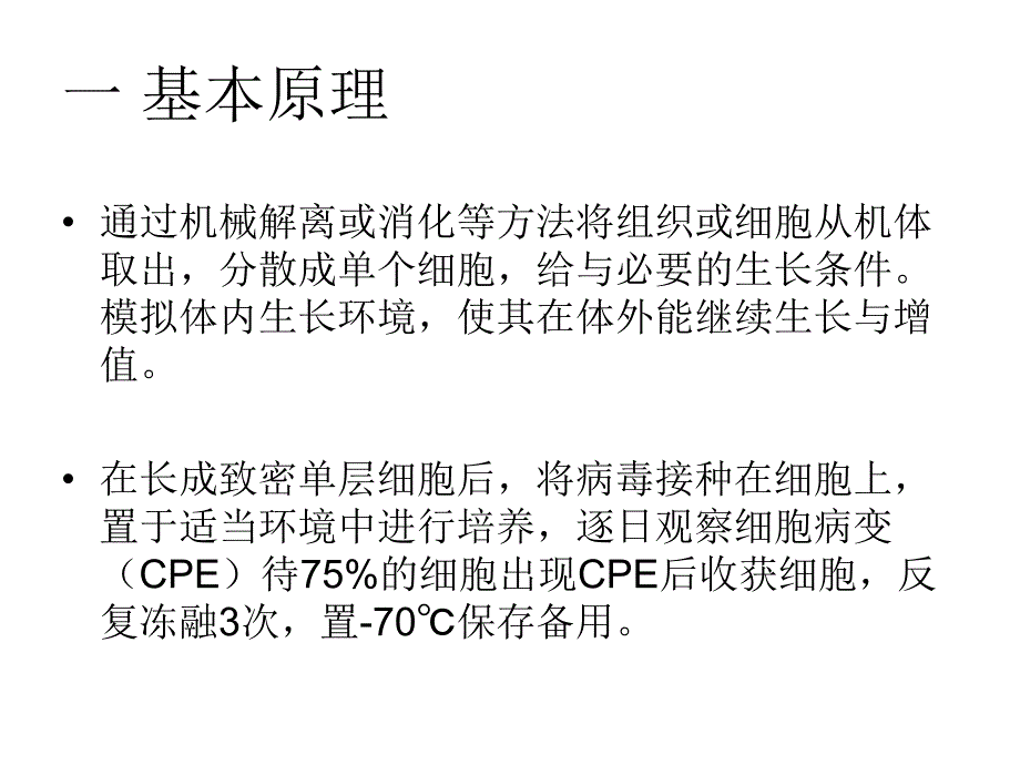 病毒的细胞培养.ppt_第3页