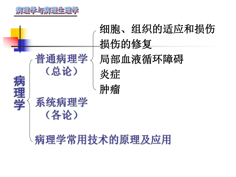 病理学课件2名师编辑PPT课件.ppt_第3页