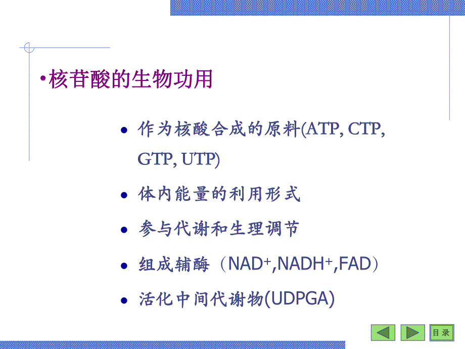 第08章核苷酸.ppt_第3页