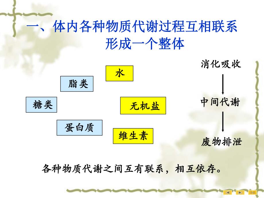 第09章物质代谢的联系与调节.ppt_第3页