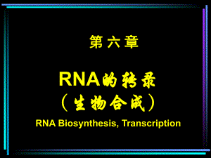 第06章RNA转录与转录后加工.ppt