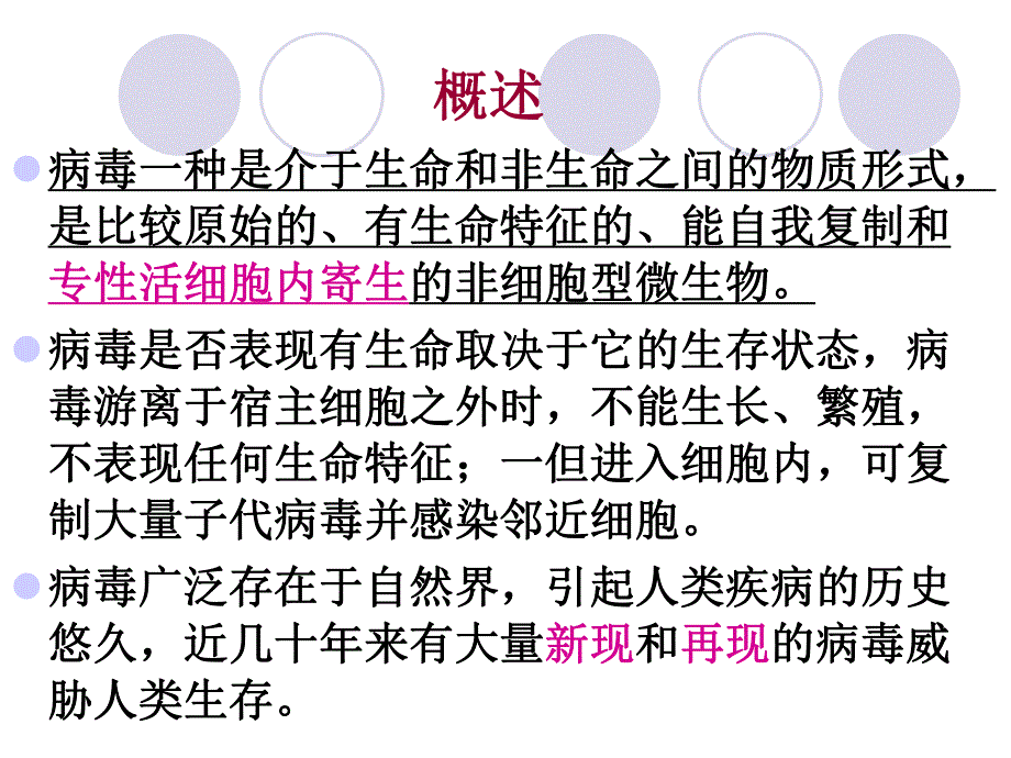 病毒的基本性状.ppt_第2页