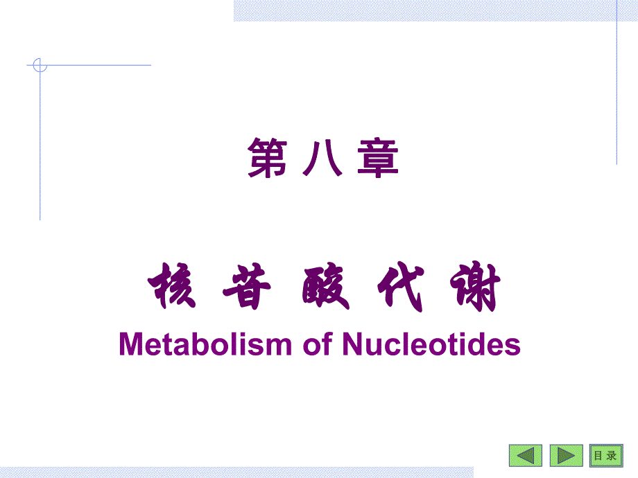 第08章核苷酸 .ppt_第1页