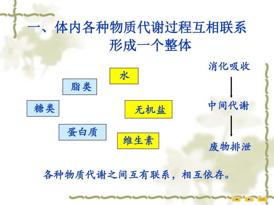 第09章物质代谢的联系与调节1.ppt_第3页