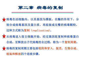 病毒的复制ppt课件名师编辑PPT课件.ppt