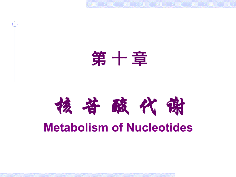 第10章核苷酸.ppt_第1页