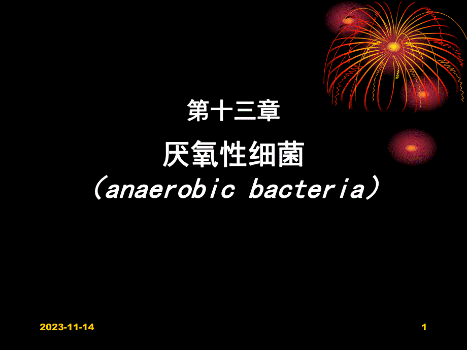 第13章厌氧性细菌.ppt_第1页