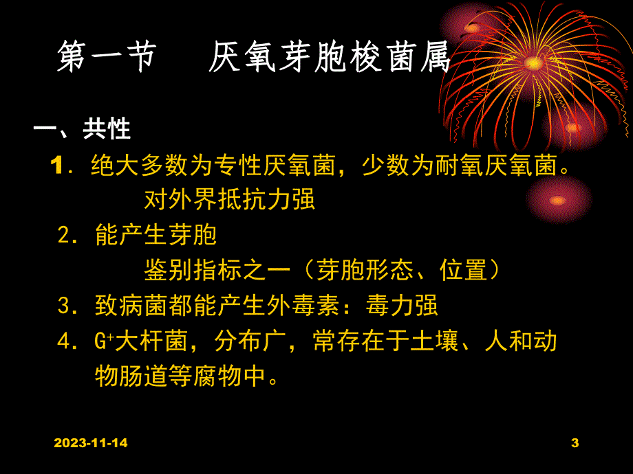 第13章厌氧性细菌.ppt_第3页