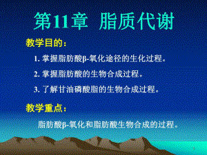 第11章脂质代谢.ppt