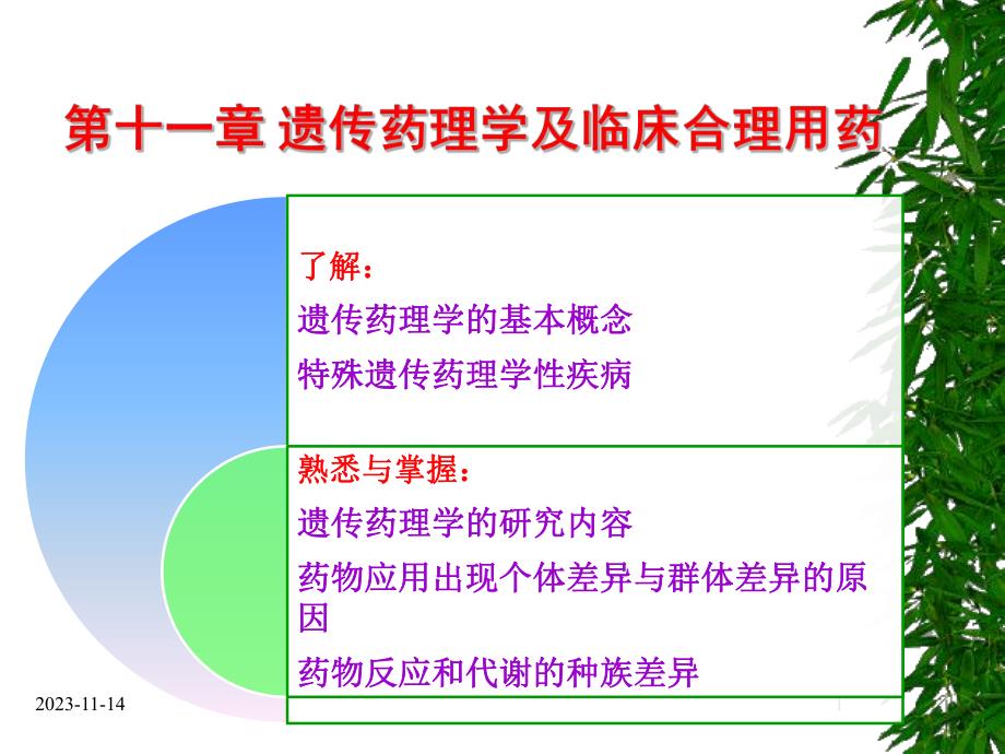 第11章遗传药理学与临床合理用药.ppt_第1页