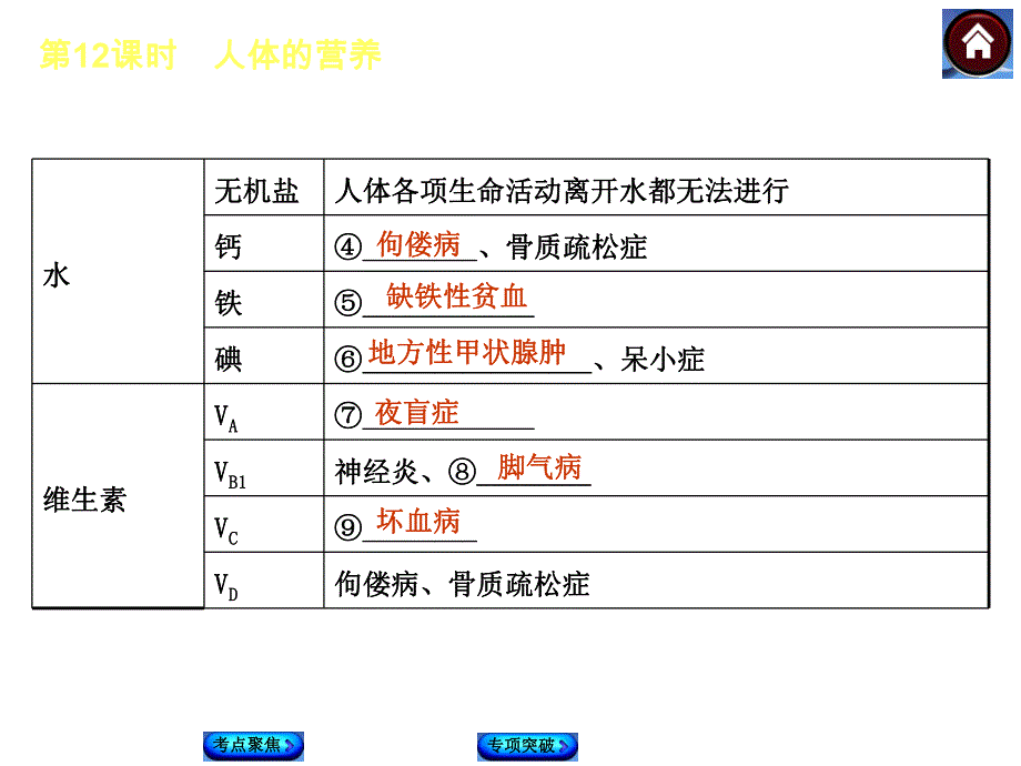 第12课时人体的营养名师编辑PPT课件.ppt_第3页