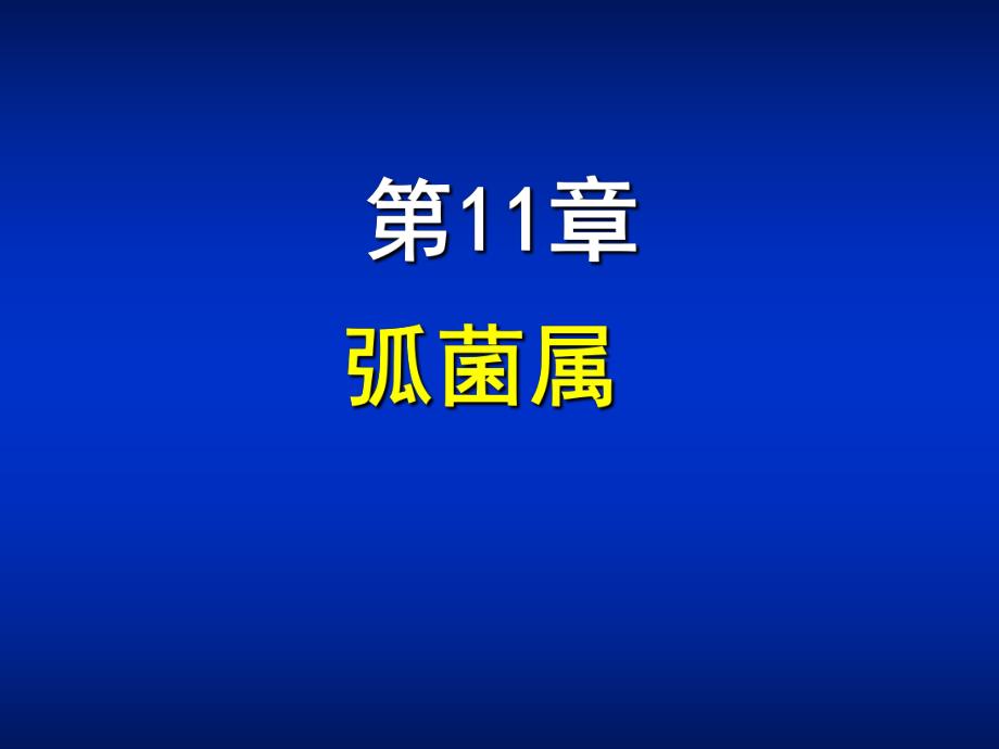 第11章弧菌属ppt课件名师编辑PPT课件.ppt_第1页