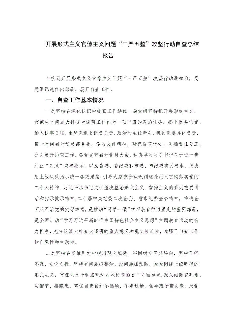 2023开展形式主义官僚主义问题“三严五整”攻坚行动自查总结报告精选10篇.docx_第1页