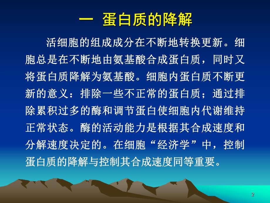 第12章蛋白质和氨基酸的代谢.ppt_第2页