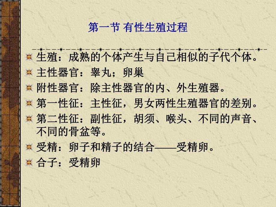 第12章生殖系统.ppt_第2页