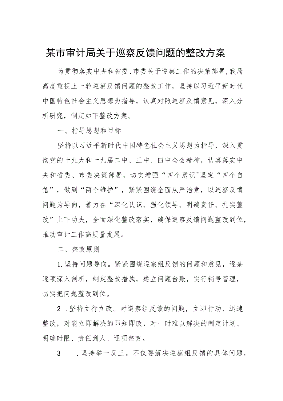 2023年某市审计局关于巡察反馈问题的整改方案.docx_第1页