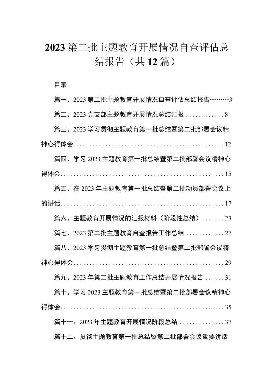 2023第二批主题教育开展情况自查评估总结报告（共12篇）.docx_第1页