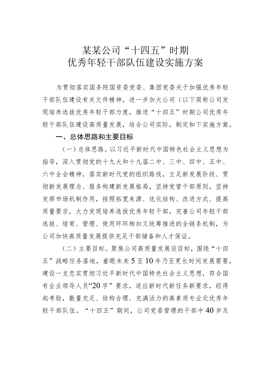 某某公司“十四五”时期优秀年轻干部队伍建设实施方案.docx_第1页