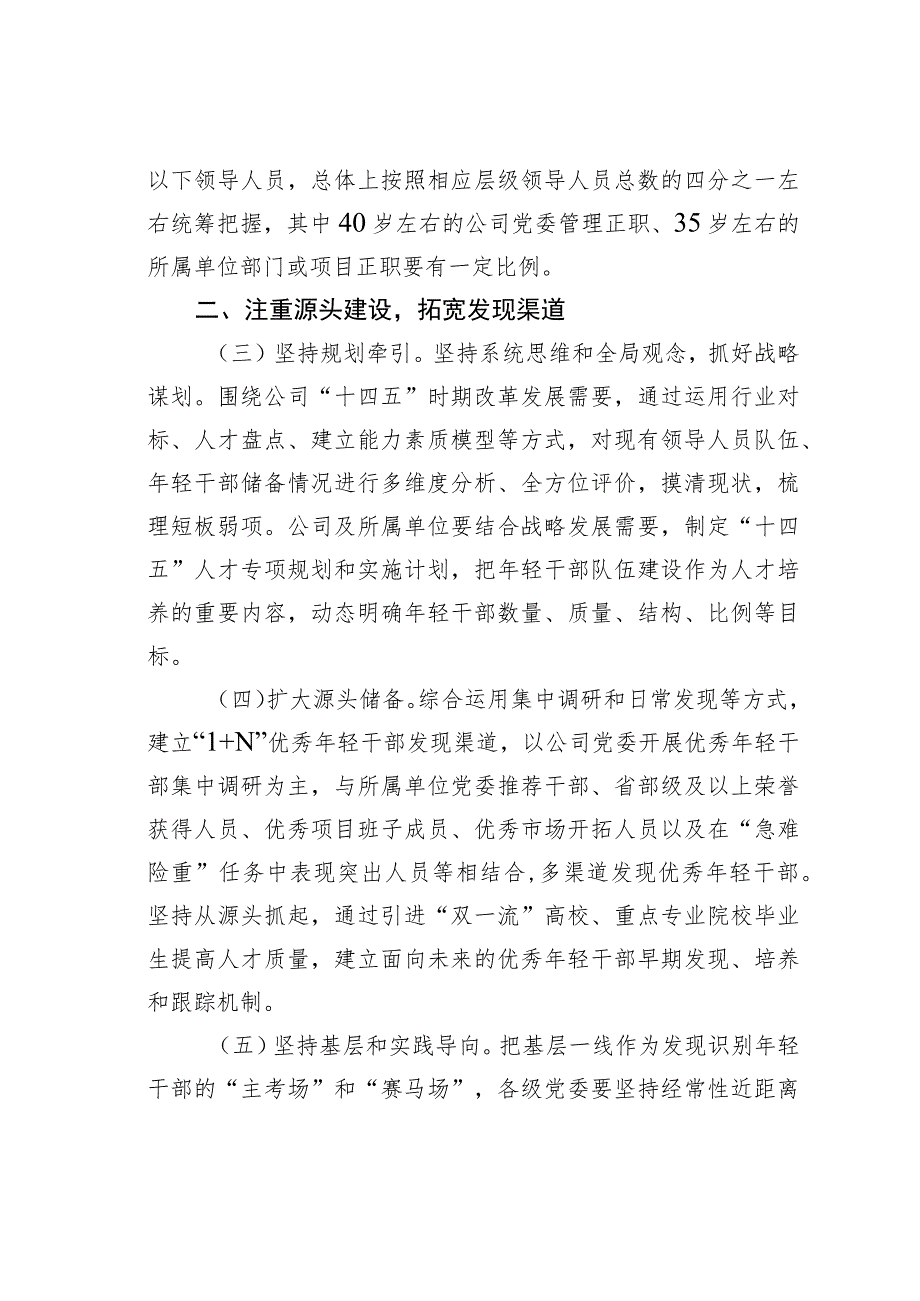 某某公司“十四五”时期优秀年轻干部队伍建设实施方案.docx_第2页