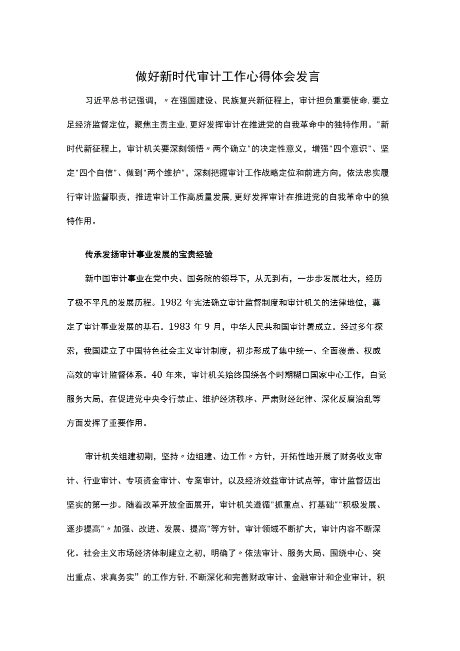 做好新时代审计工作心得体会发言.docx_第1页