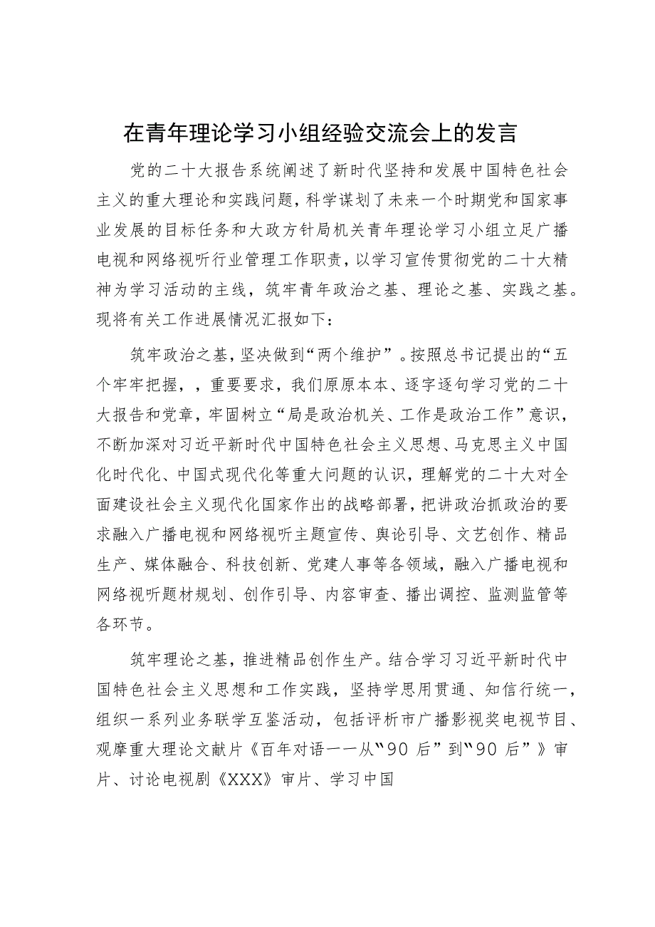 在青年理论学习小组经验交流会上的发言.docx_第1页