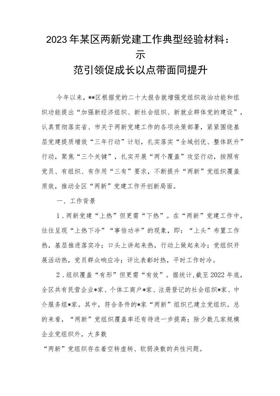 2023年某县区两新党建工作典型经验交流材料和推进两新党建提升工作报告.docx_第2页