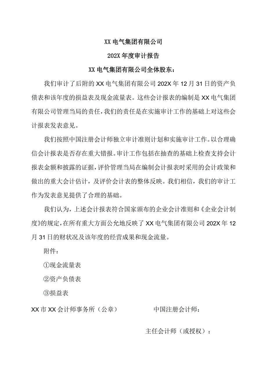 XX电气集团有限公司202X年度审计报告（2023年）.docx_第1页