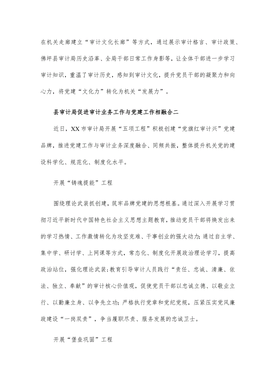 县审计局促进审计业务工作与党建工作相融合6篇.docx_第3页