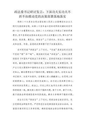 政法委书记研讨发言.docx