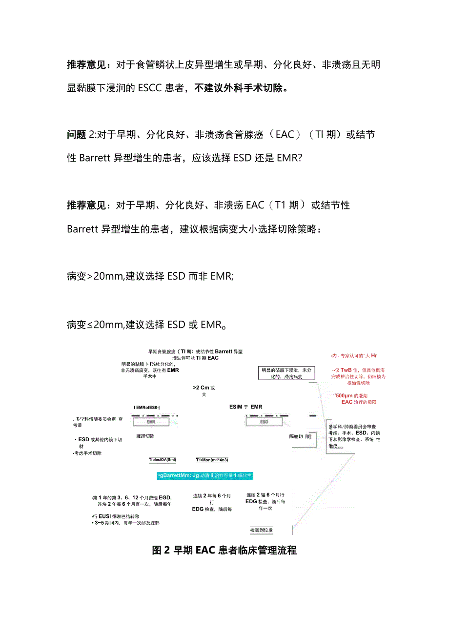 2023 ASGE内镜下治疗早期食管癌与胃癌.docx_第3页