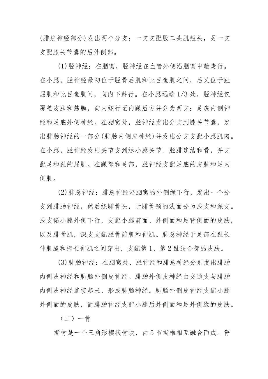 麻醉学骶丛阻滞技术.docx_第3页