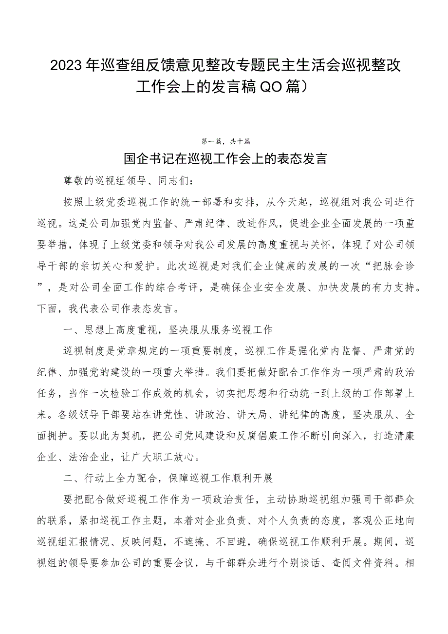 2023年巡查组反馈意见整改专题民主生活会巡视整改工作会上的发言稿（10篇）.docx_第1页