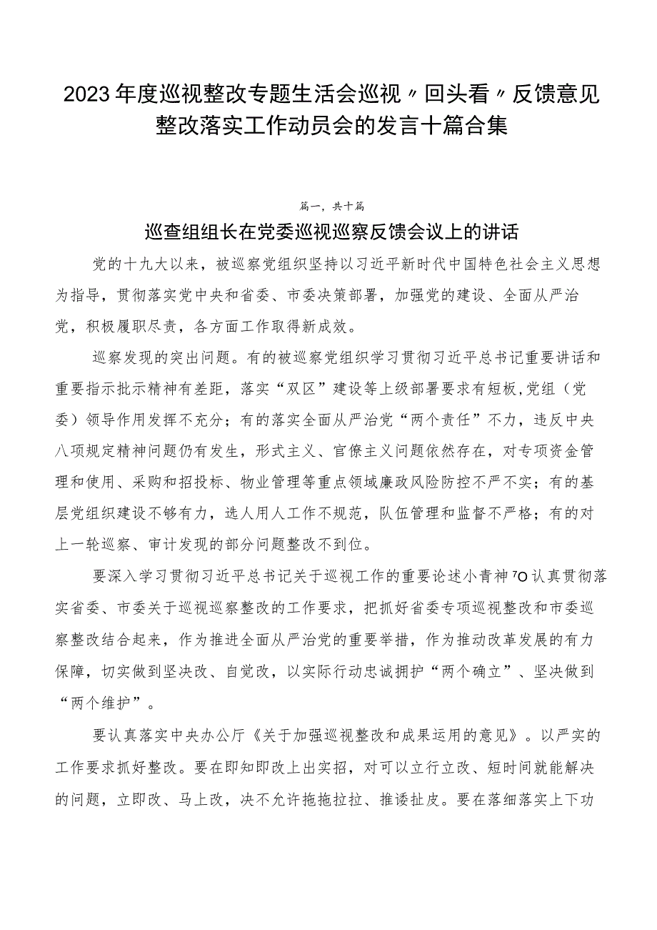 2023年度巡视整改专题生活会巡视“回头看”反馈意见整改落实工作动员会的发言十篇合集.docx_第1页