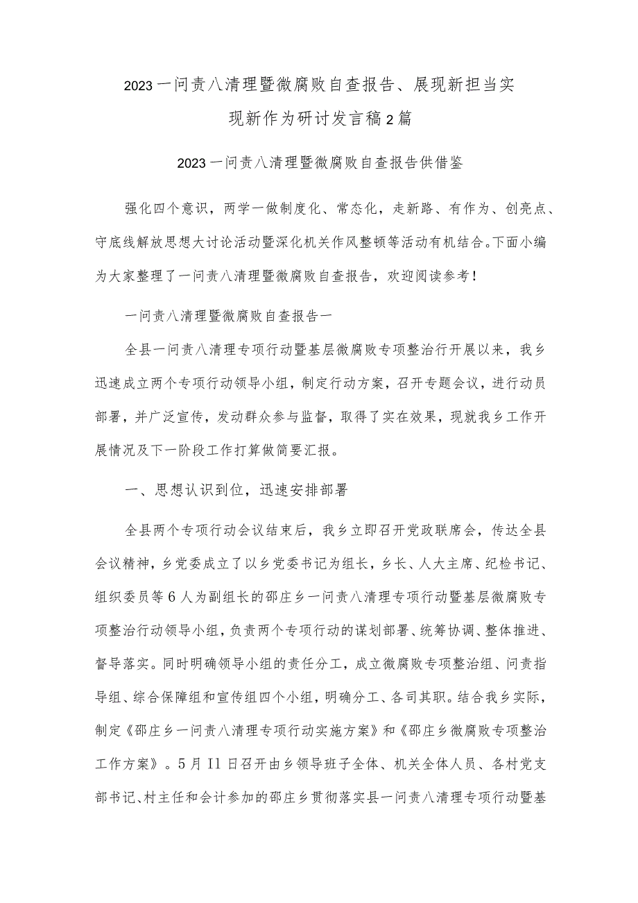 2023一问责八清理暨微腐败自查报告、展现新担当 实现新作为研讨发言稿2篇.docx_第1页