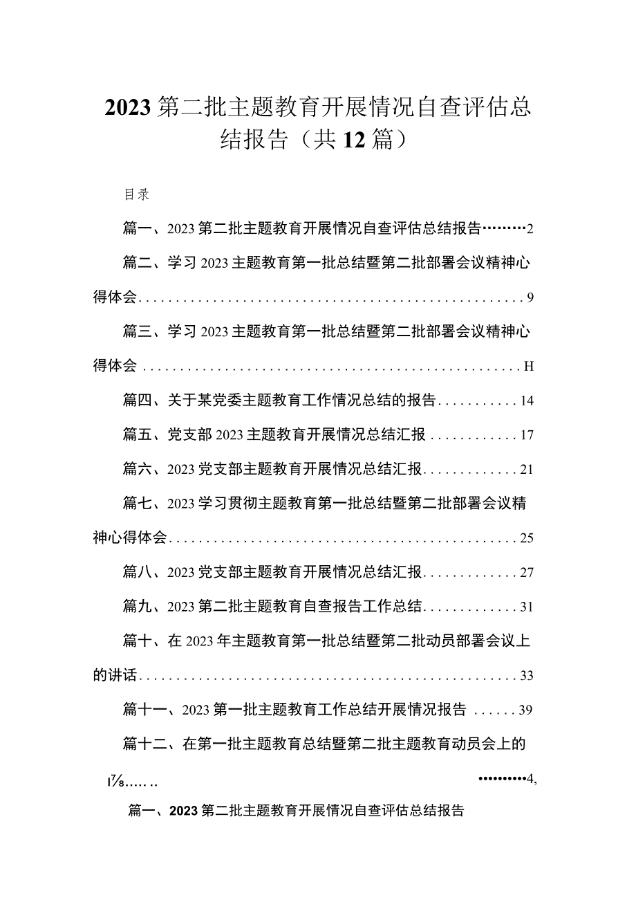 2023第二批主题教育开展情况自查评估总结报告(精选12篇).docx_第1页