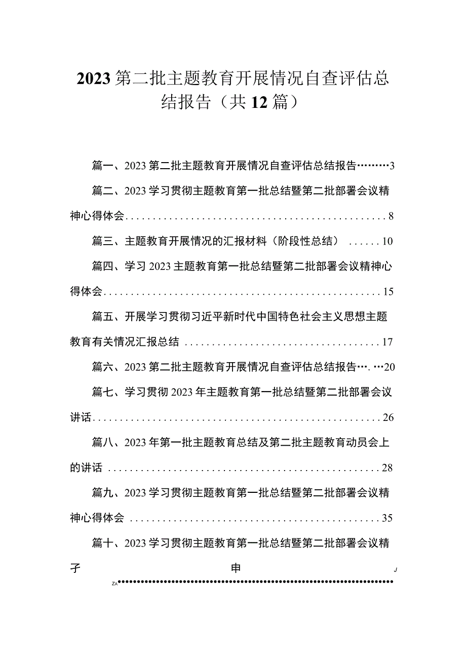 2023第二批主题教育开展情况自查评估总结报告12篇（精编版）.docx_第1页