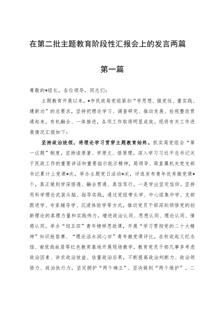 在第二批主题教育阶段性汇报会上的发言两篇.docx_第1页