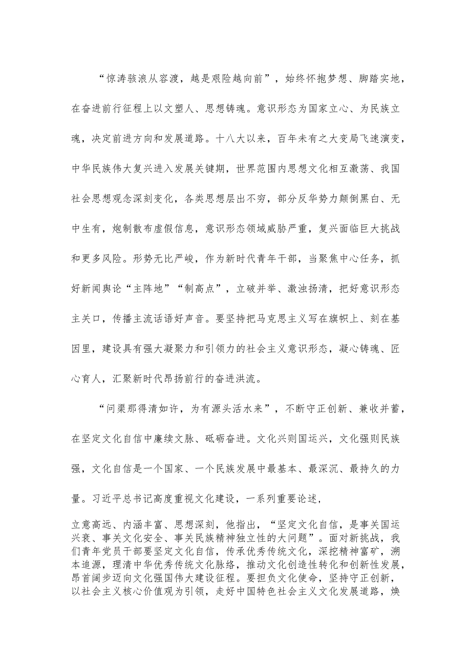 青年干部学习对宣传思想文化工作重要指示心得体会.docx_第2页