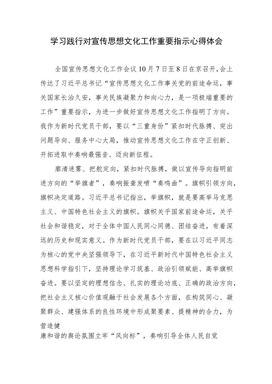 学习贯彻领悟对宣传思想文化工作重要指示心得体会共6篇.docx_第2页