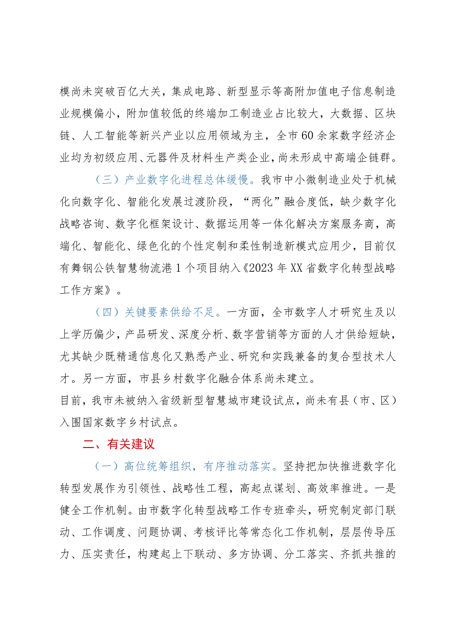 代表市政协经济委员会的发言：加快数字化转型打造发展新引擎.docx_第3页