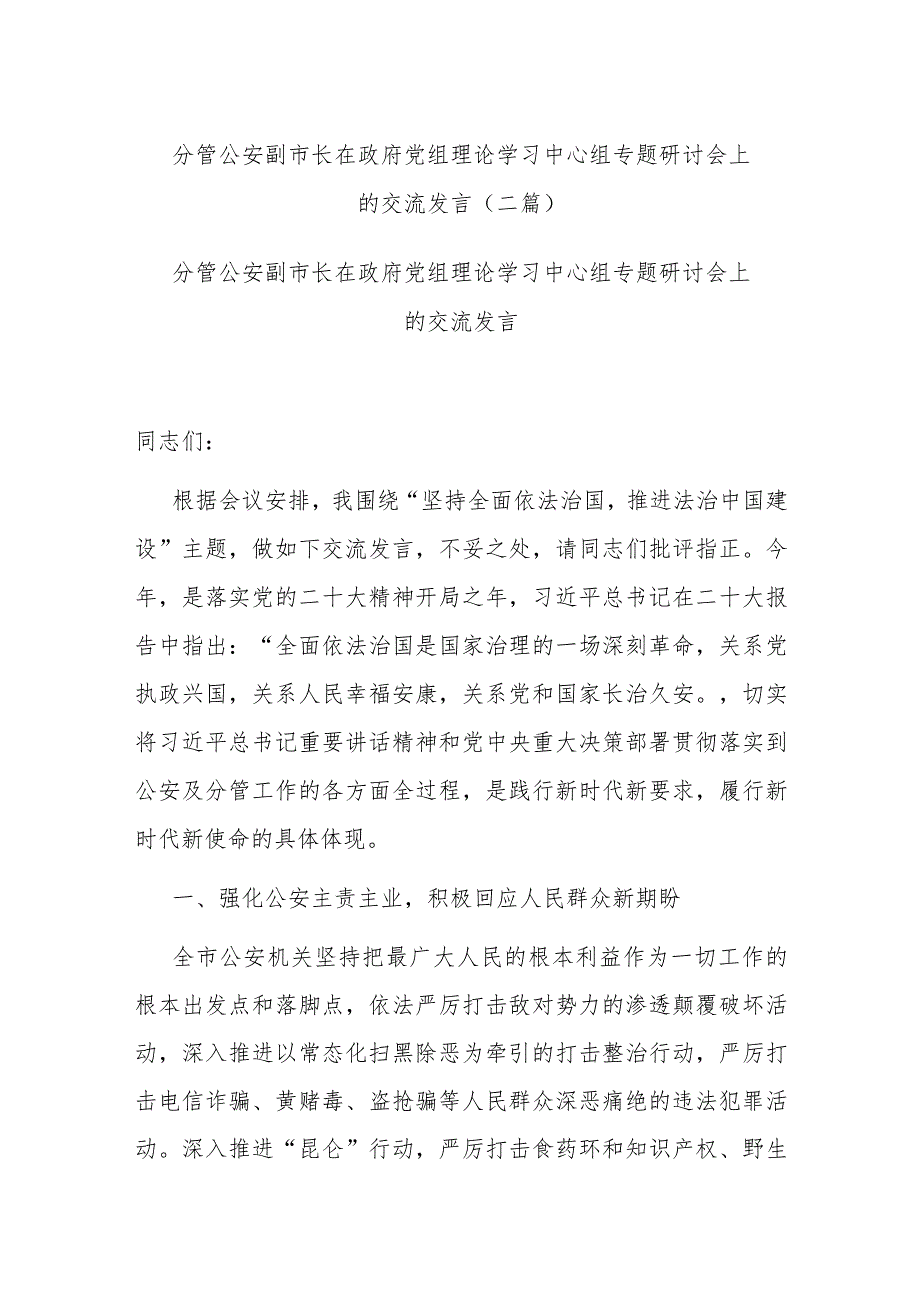 分管公安副市长在政府党组理论学习中心组专题研讨会上的交流发言(二篇).docx_第1页