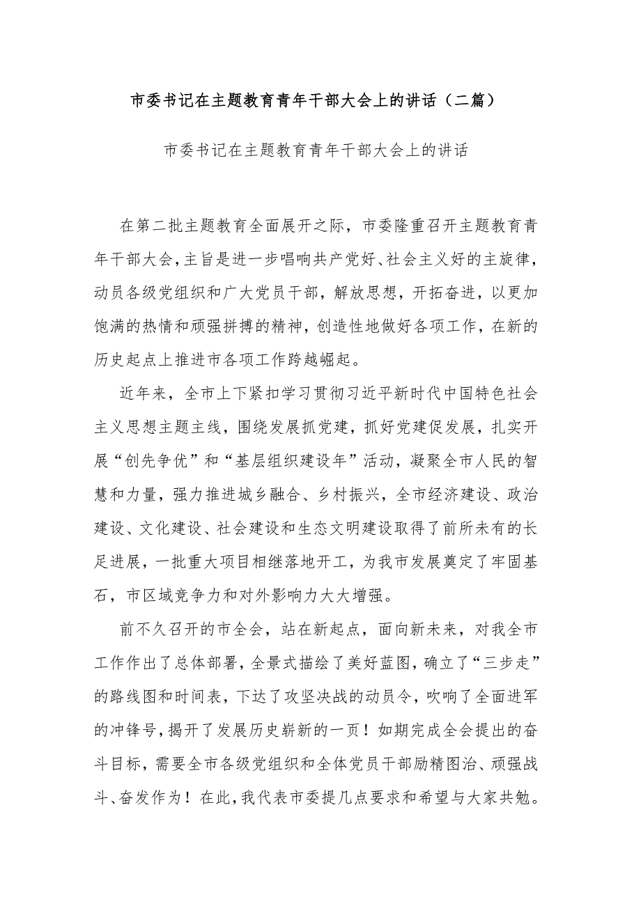 市委书记在主题教育青年干部大会上的讲话(二篇).docx_第1页