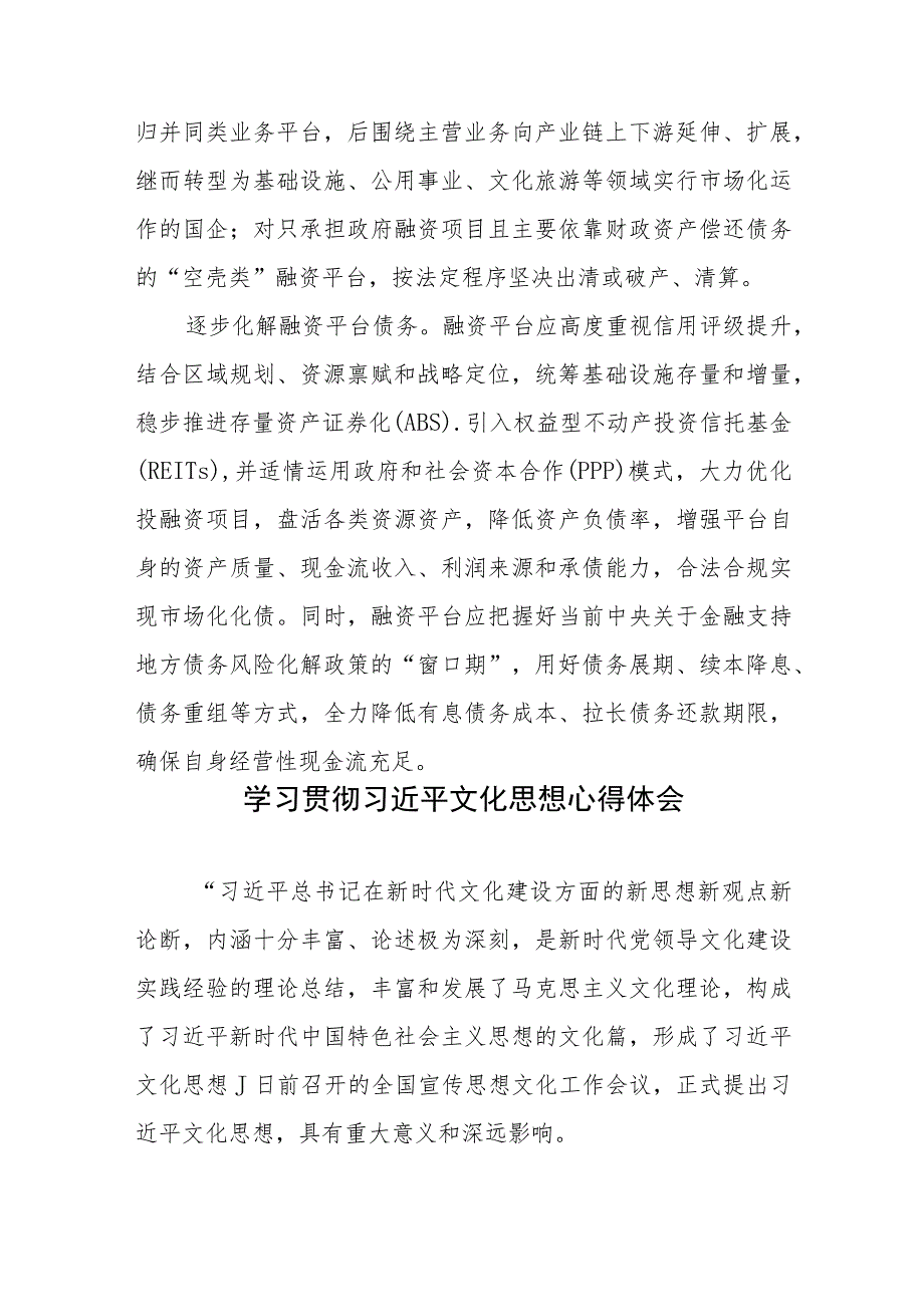 做好地方政府融资平台市场化转型工作心得体会发言.docx_第3页