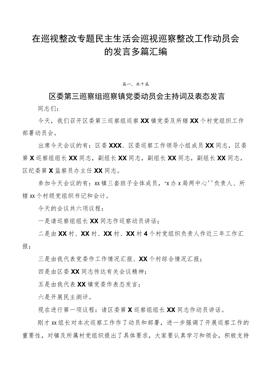 在巡视整改专题民主生活会巡视巡察整改工作动员会的发言多篇汇编.docx_第1页