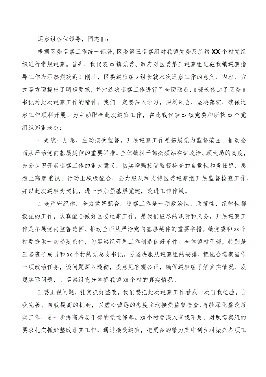 在巡视整改专题民主生活会巡视巡察整改工作动员会的发言多篇汇编.docx_第3页